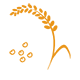 Millet